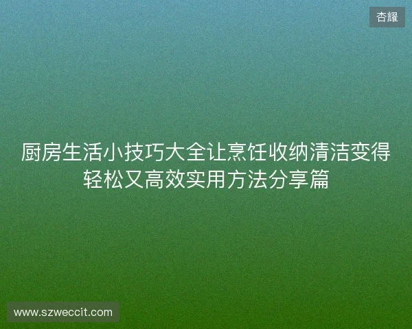 厨房生活小技巧大全让烹饪收纳清洁变得轻松又高效实用方法分享篇